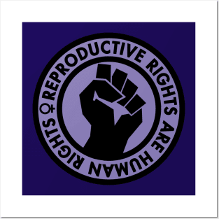 Reproductive Rights are Human Rights (lavender) Posters and Art